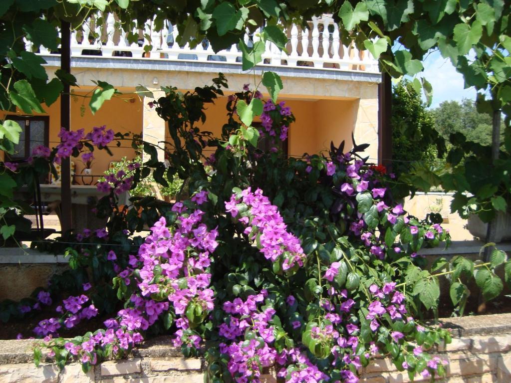 Apartments Alice Green Oasis - Porec Camera foto